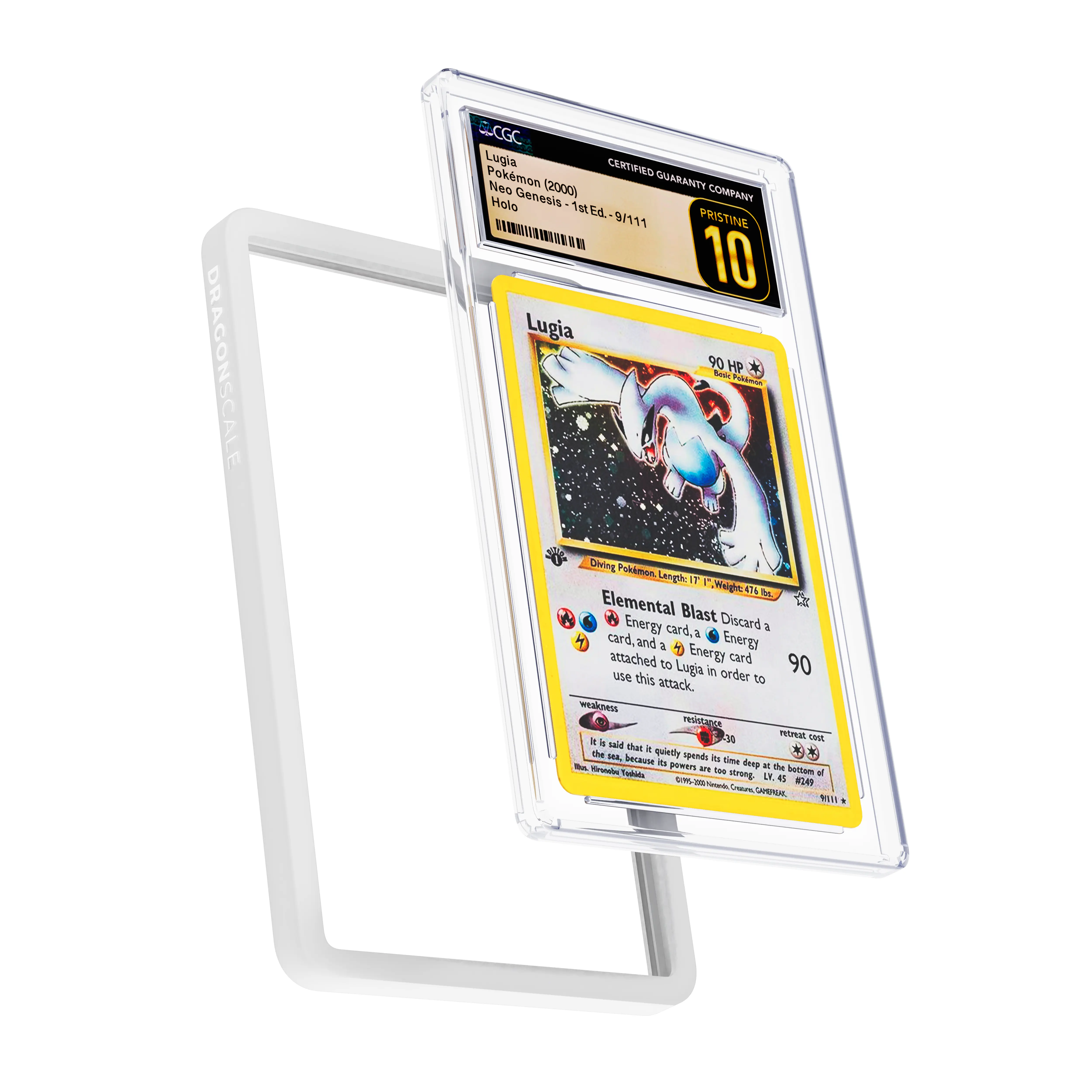 CGC Bumper Guard (Solid) - Image 7
